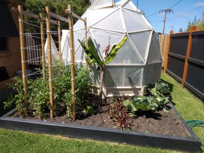 GeoDome - 4